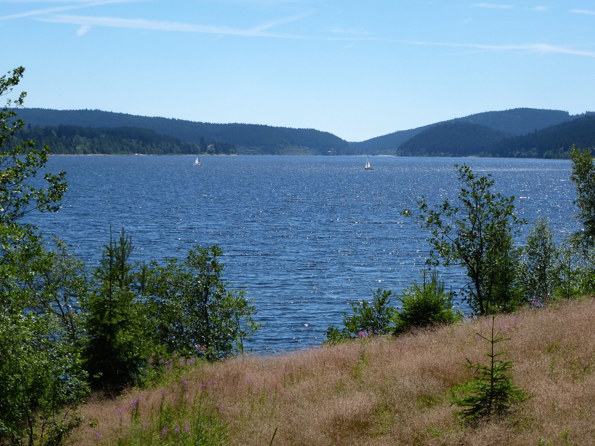 Blick ber den Schluchsee vom Nordwestufer aus, Juli 2014