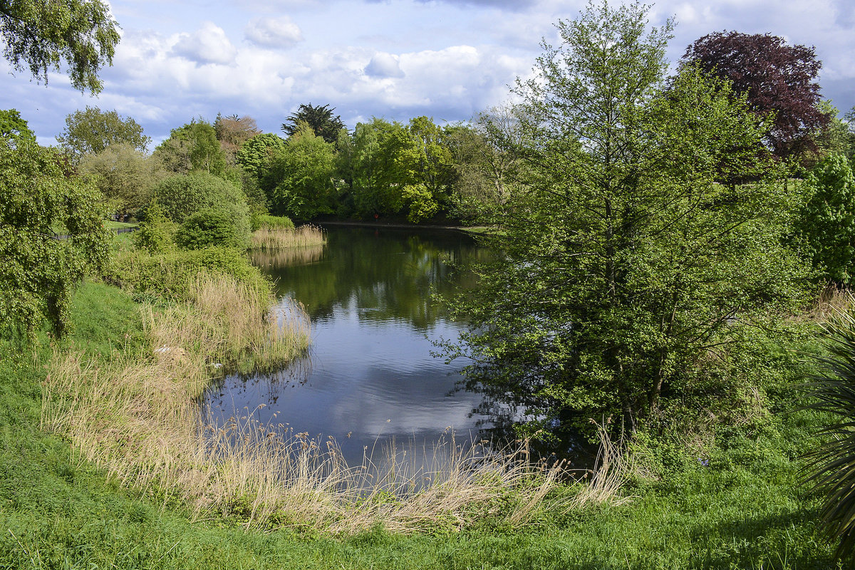 Blick über den südlichen Teil vom Phoenix park östlich vom Dubliner Stadtzentrum. Aufnahme: 11. Mai 2018.