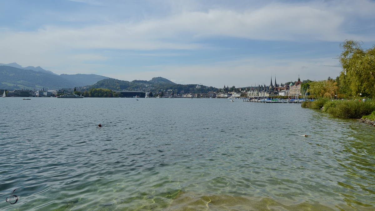 Blick über den Vierwaldstättersee. (Luzern, September 2011)