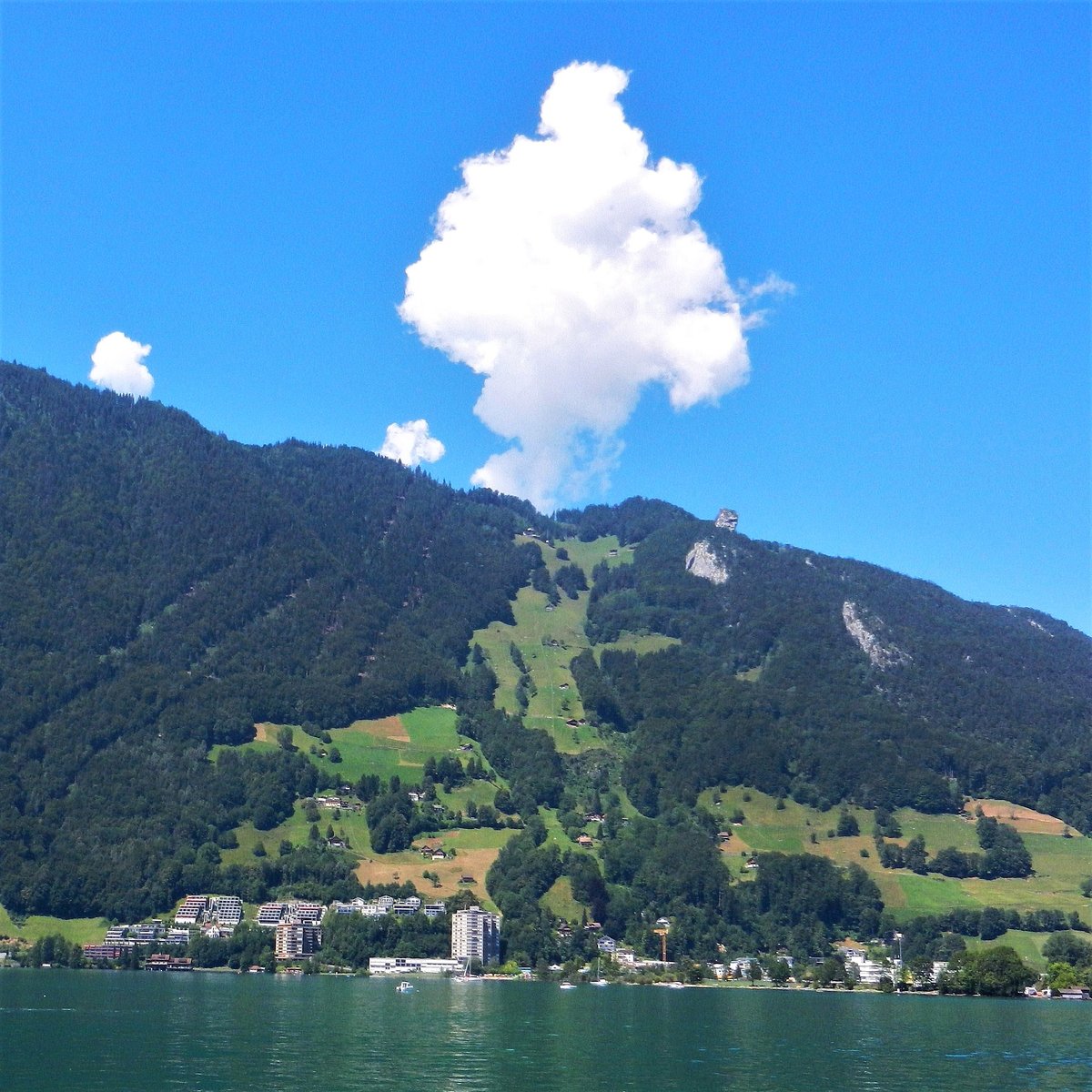 Blick über den Vierwaldstättersee in Richtung Urmiberg bei Brunnen, Kanton Schwyz, Schweiz - 17.07.2014