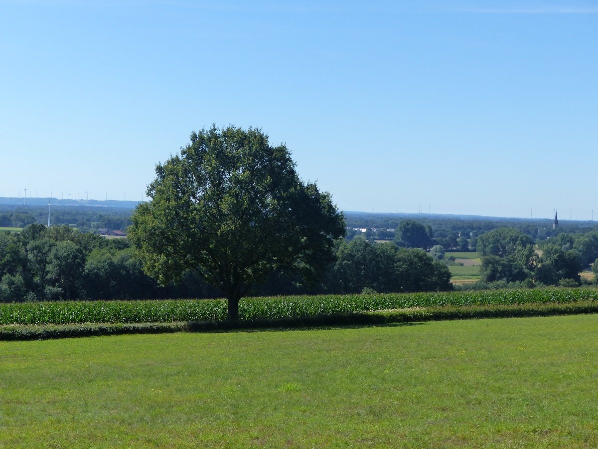 Blick von der Villa Jordaan in Rothenberge bei Wettringen über das Münsterland, Sommer 2020