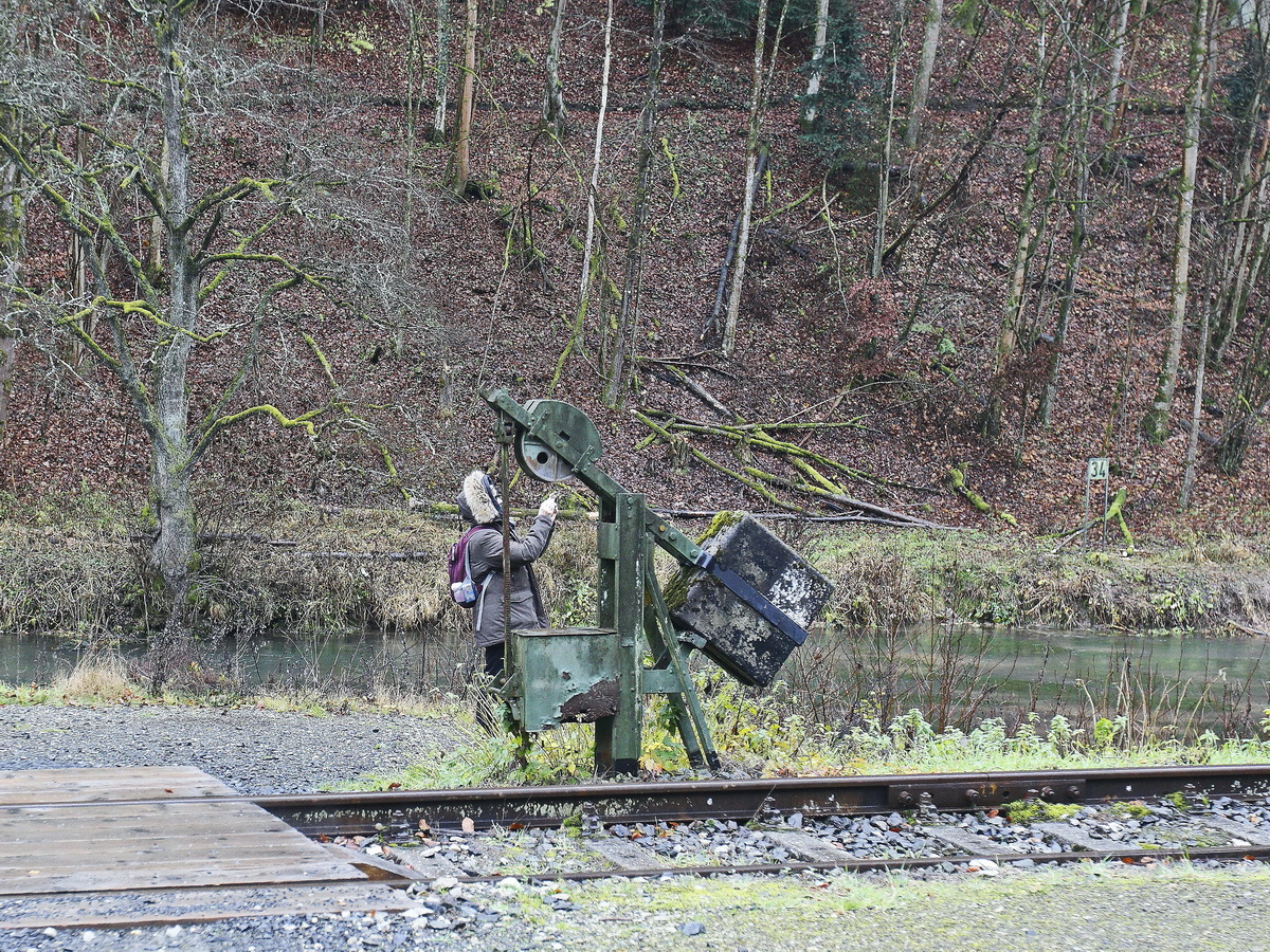 Blick in den Wald bei Behringersmühle am 29. November 2019, im Hintergrund die Wiesent. 