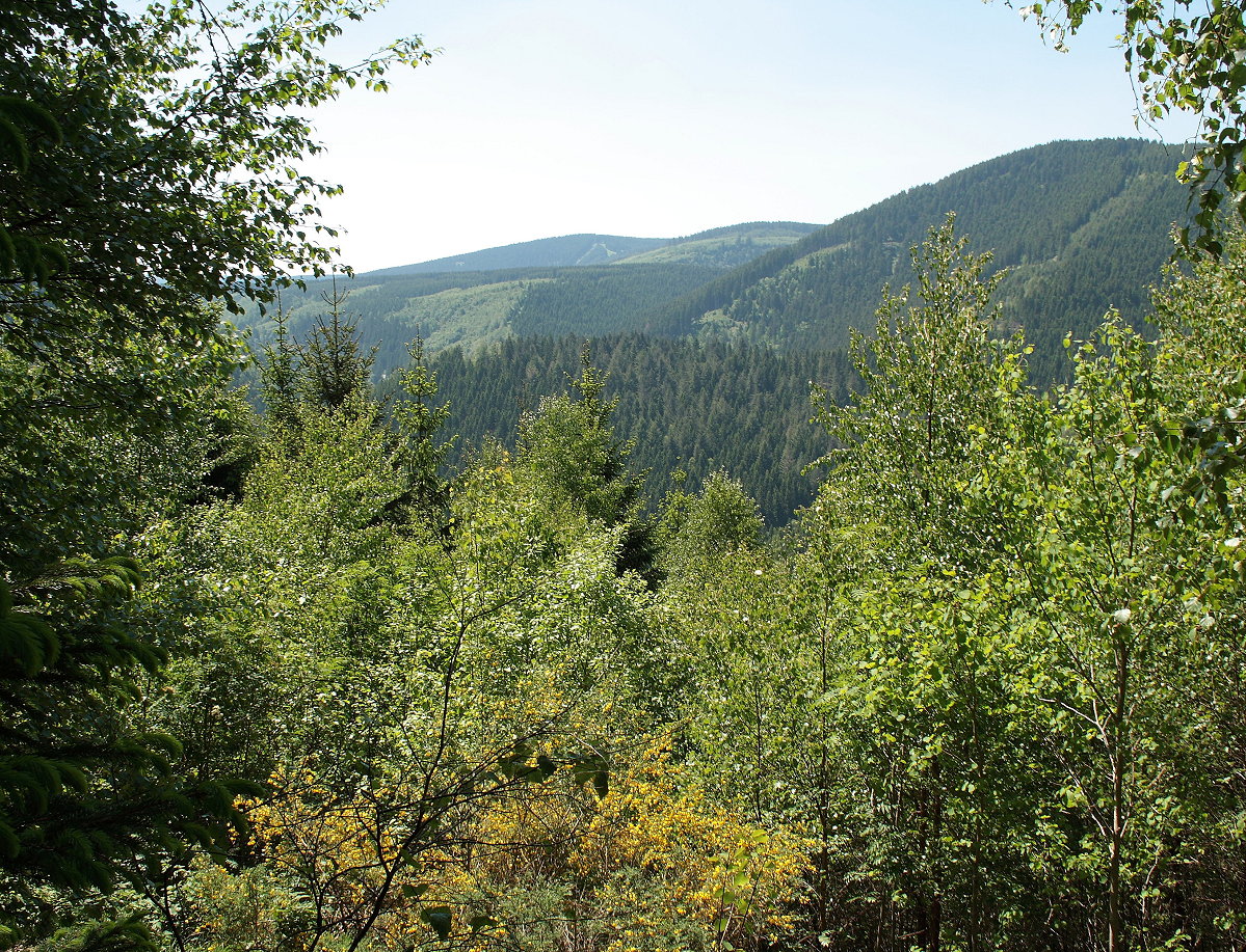 Blick vom Wanderweg, der sich steil hinauf zur Feigenbaumklippe schlängelt, über das Okertal auf die gegenüber liegenden Berge; Aufnahme vom frühen Nachmittag des 05.06.15...