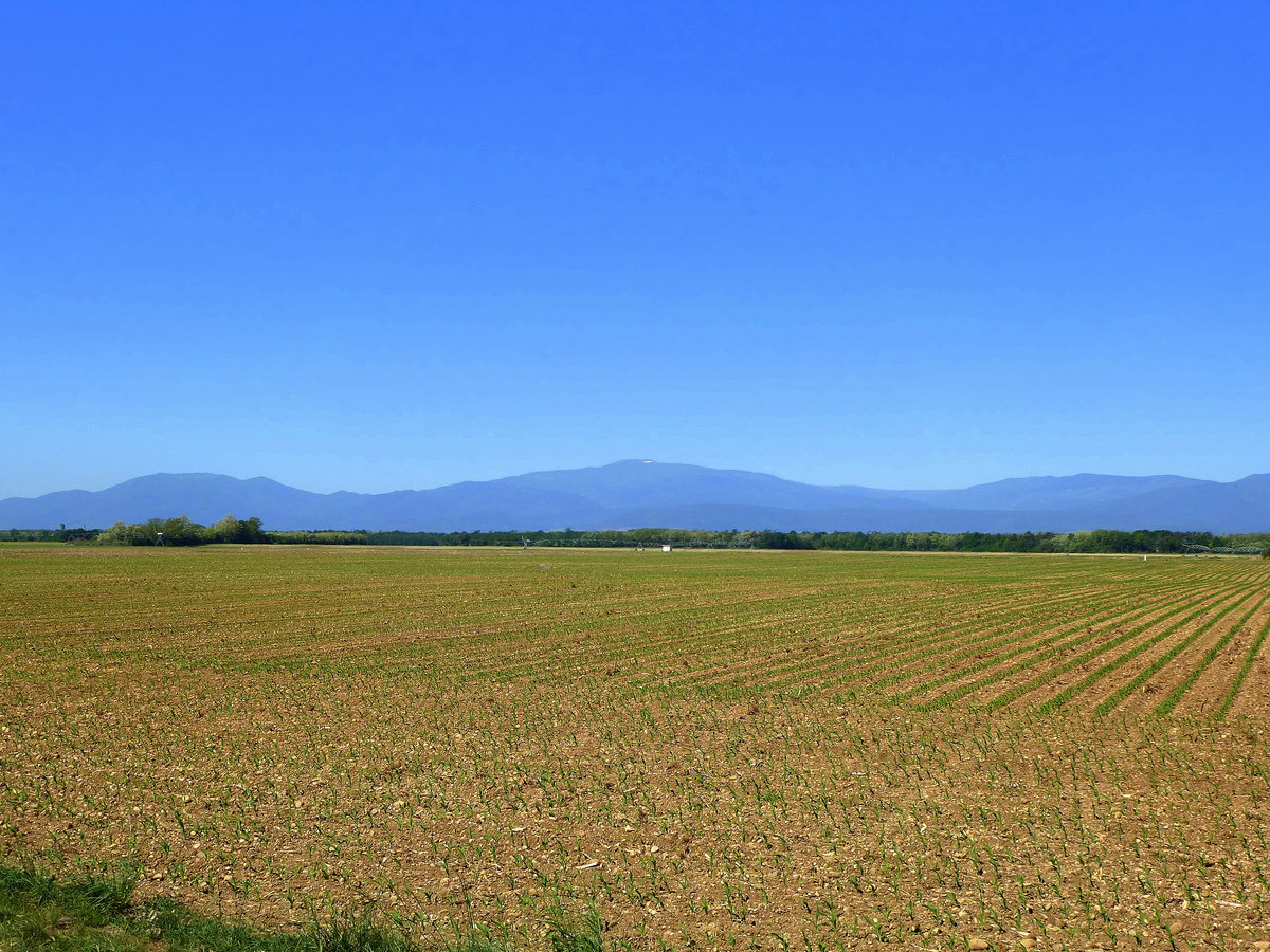 Blick von Weckolsheim im Oberelsaß über die Rheinebene zu den Vogesen, Mai 2018