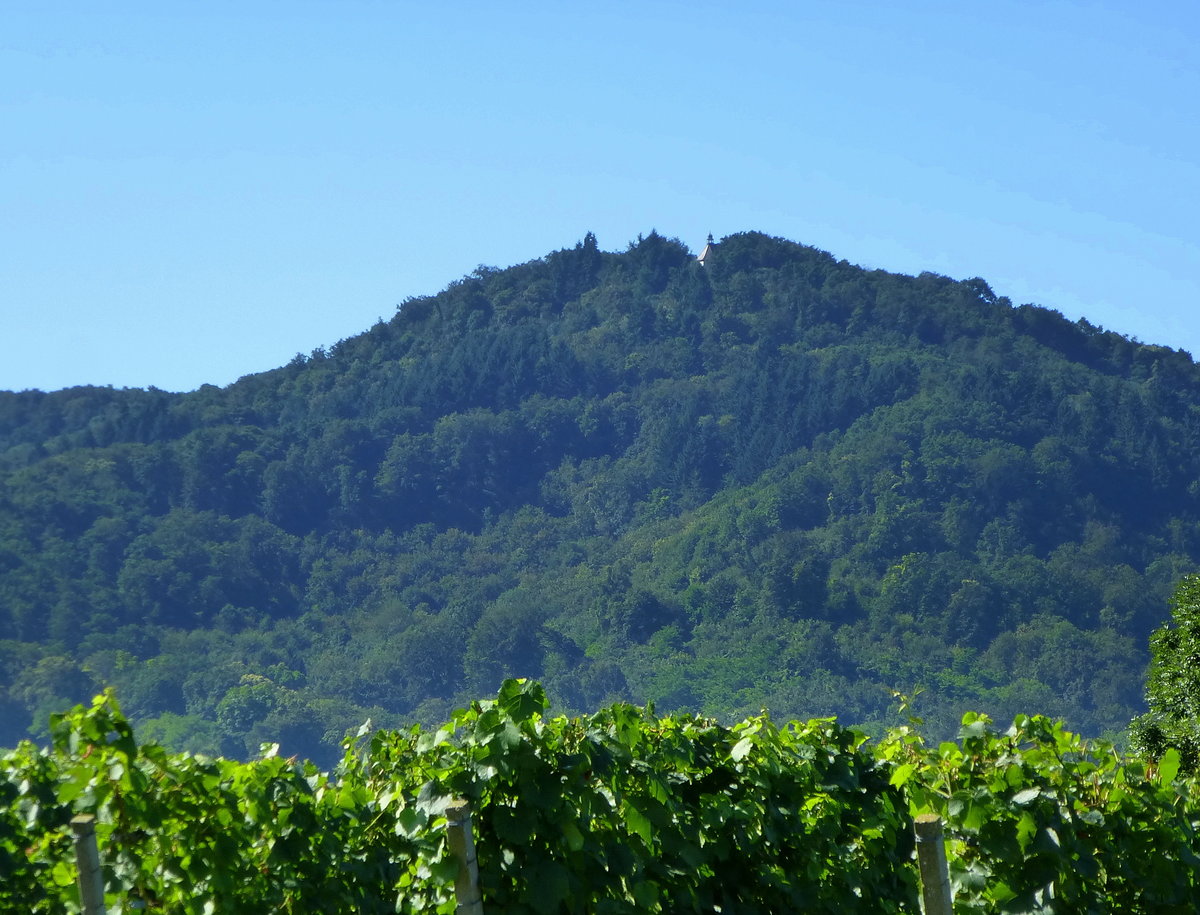 Blick von den Weinbergen oberhalb von Endingen am Nordrand des Kaiserstuhles zur Katharienkapelle auf dem 493m hohen Kartharienberg, Aug.2016