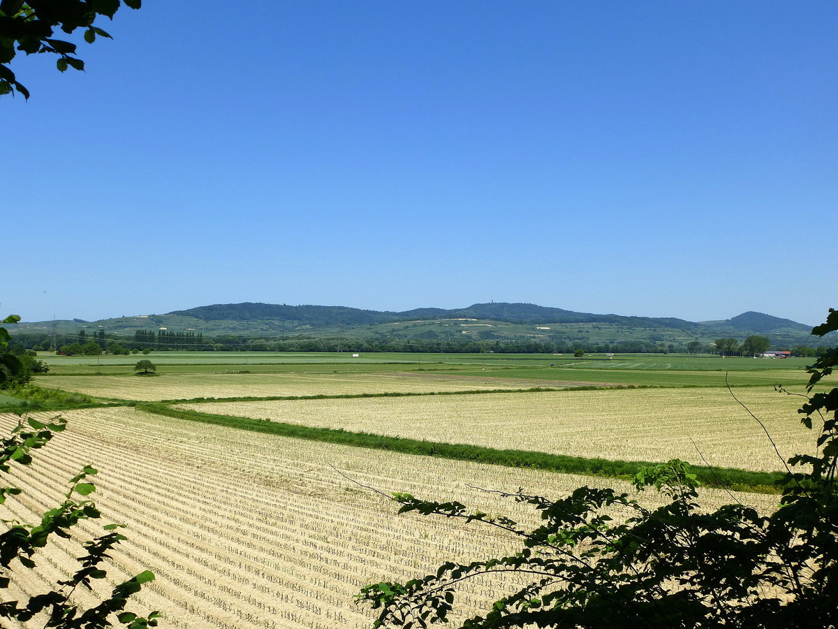 Blick vom westlichen Tuniberg bei Merdingen zum Kaiserstuhl, Mai 2017