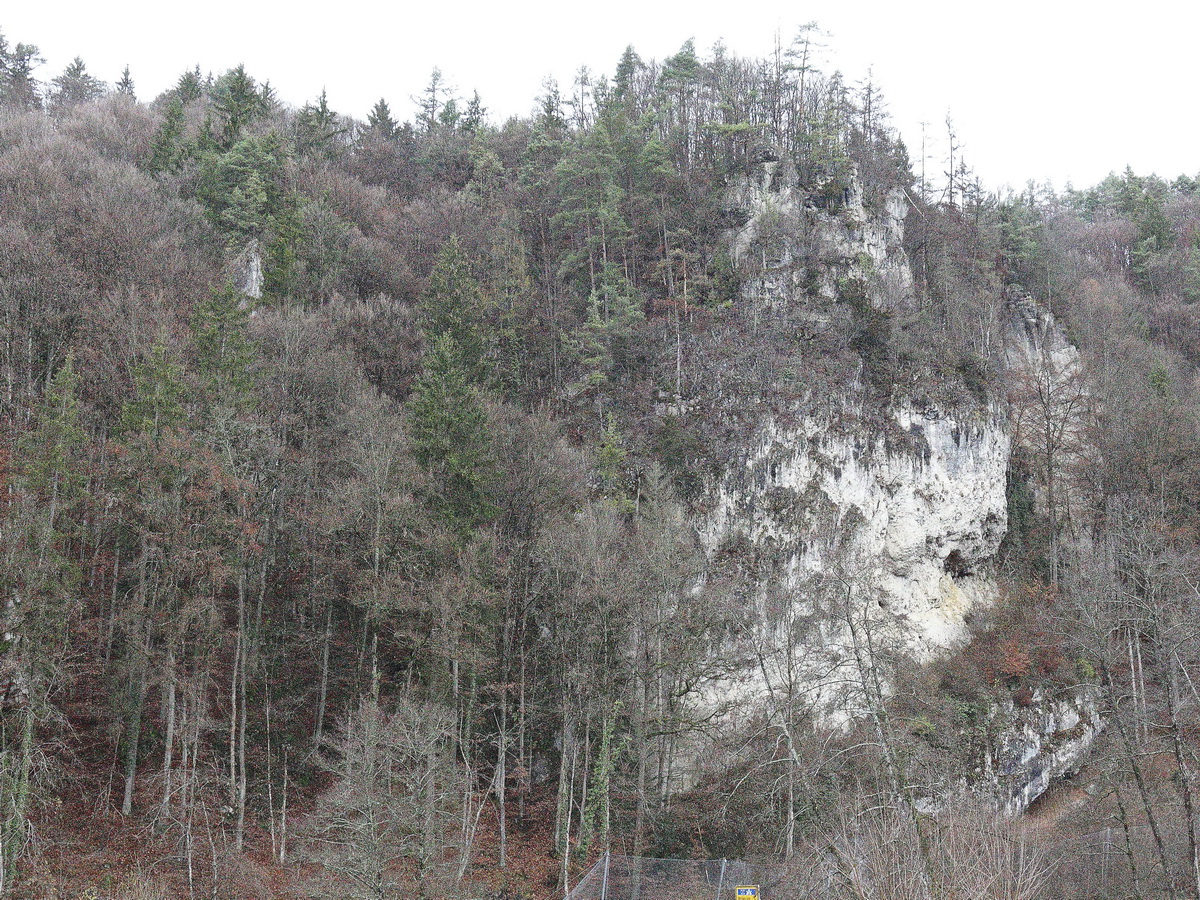 Blick in das Wiesenttal am 29. November 2019.