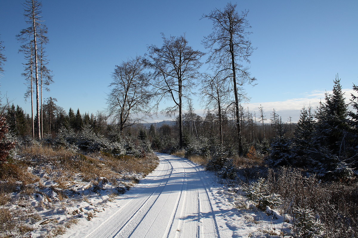 Blick von der winterlichen Hahnenkleer Waldstraße Richtung Süden; Aufnahme vom späten Nachmittag des 21.11.2022...