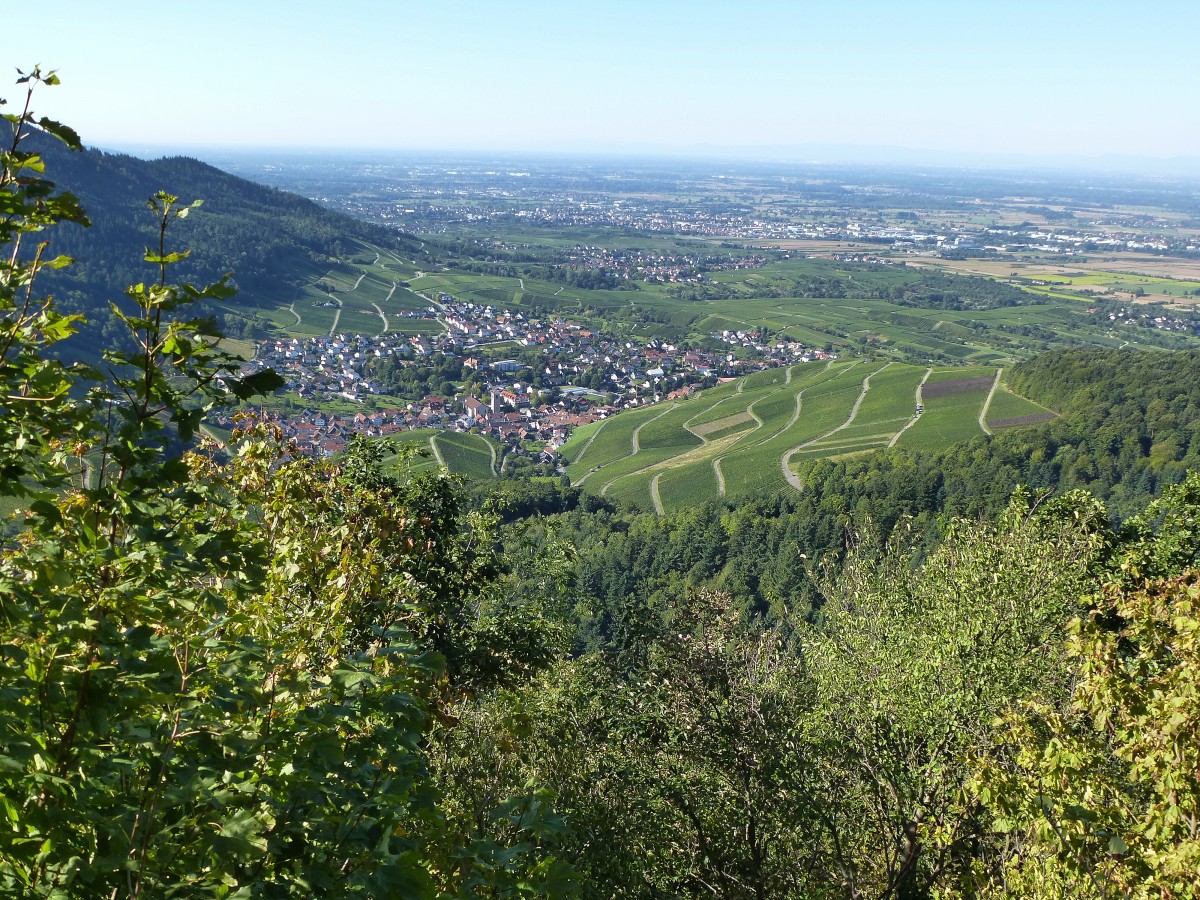 Blick von der Yburg auf den Ort Neuweier im Baden-Badener Weinland, Sept.2015