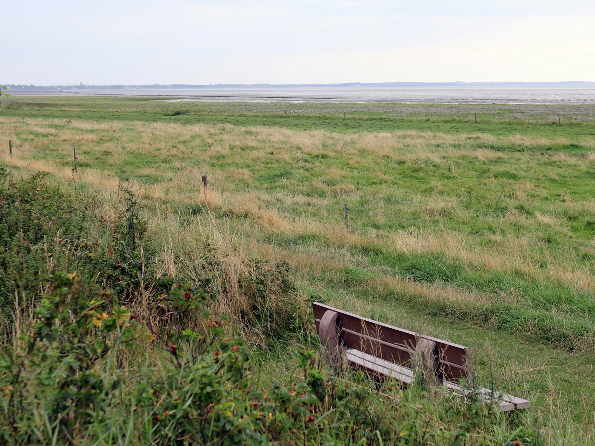 Blick zum Wattenmeer in Morsum am 18. August 2015.