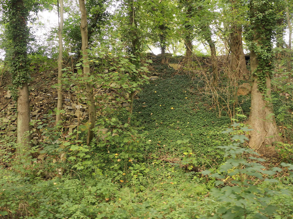 Blick zum Westwall bei Simpelveld am 11. Oktober 2020.