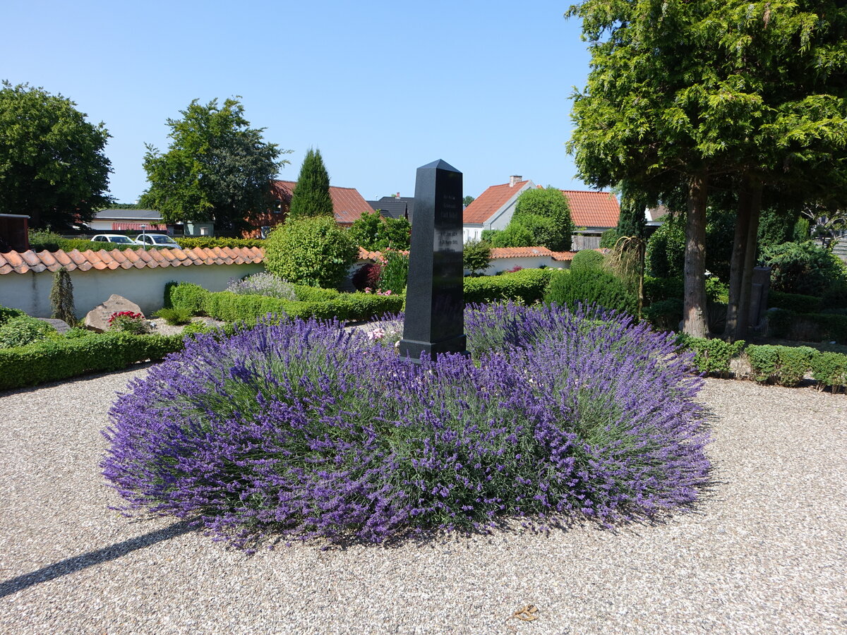 Blühender Lavendel um ein Denkmal in Svinninge, Seeland (17.07.2021)