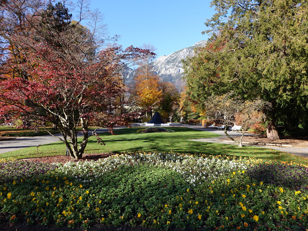 Blumenbeete im Kurpark von Bad Reichenhall (10.11.2018)