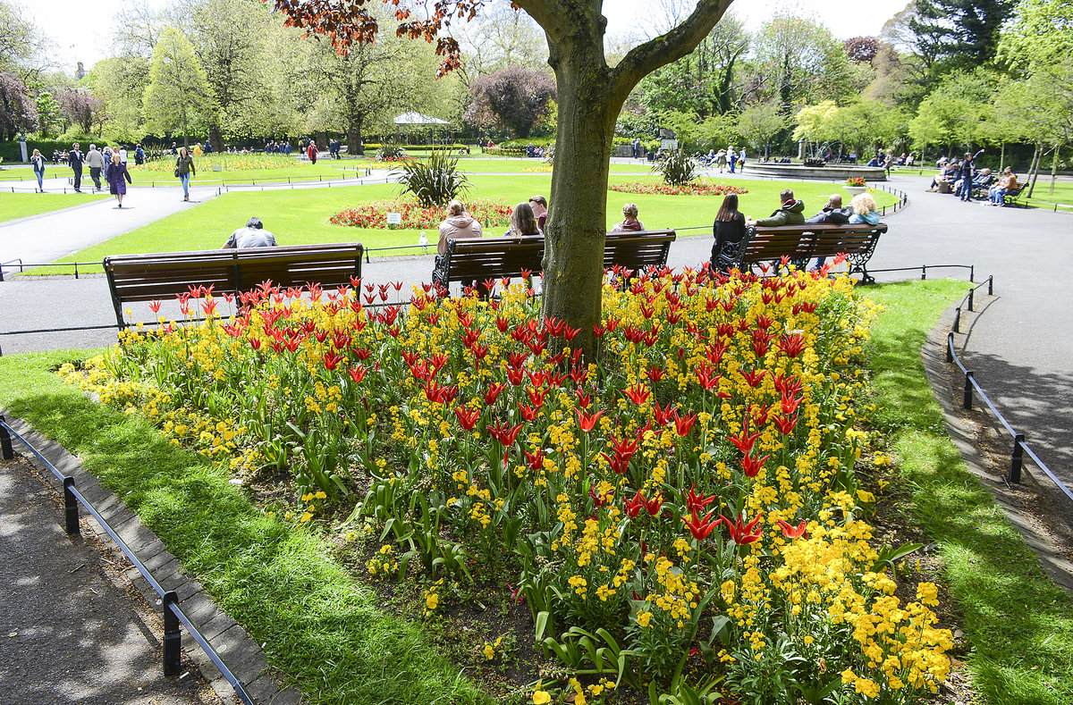 Blumenpracht im Dubliner Stadtpark St. Stephen's Green. Aufnahme: 10. Mai 2018.