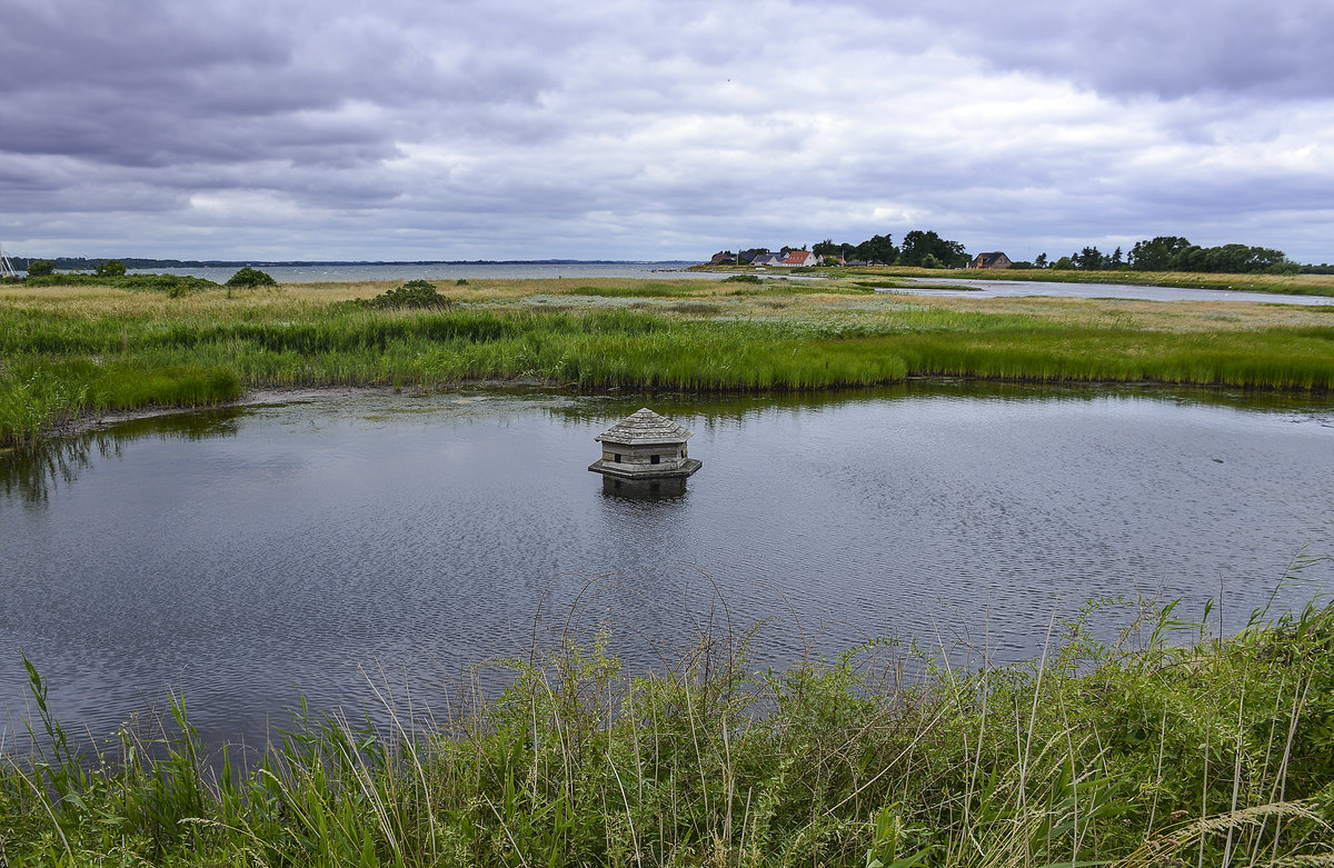 Boddenlandschaft an der Insel Årø in Nordschleswig. Aufnahme: 23. Juni 2018.