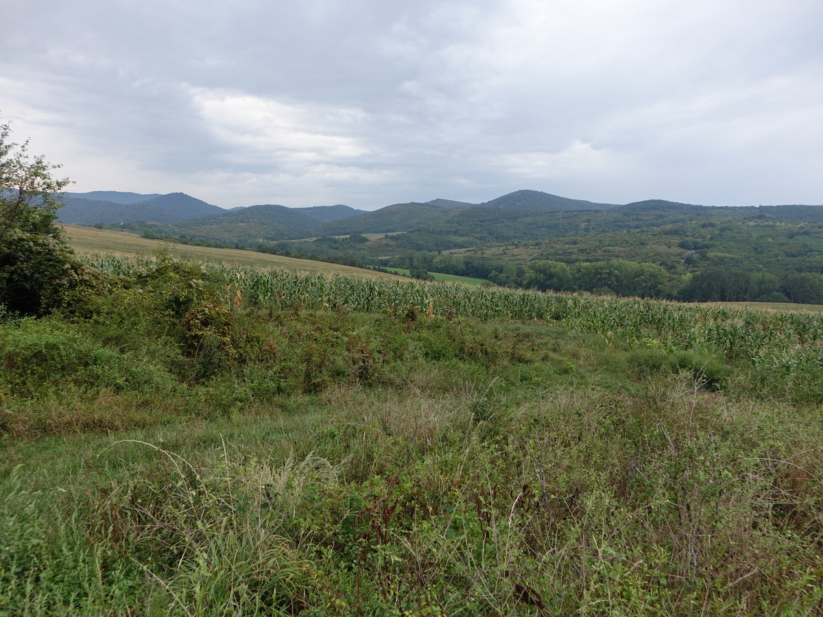 Börszöny Gebirge bei Nagybörzsöny, Nordungarn (03.09.2018)