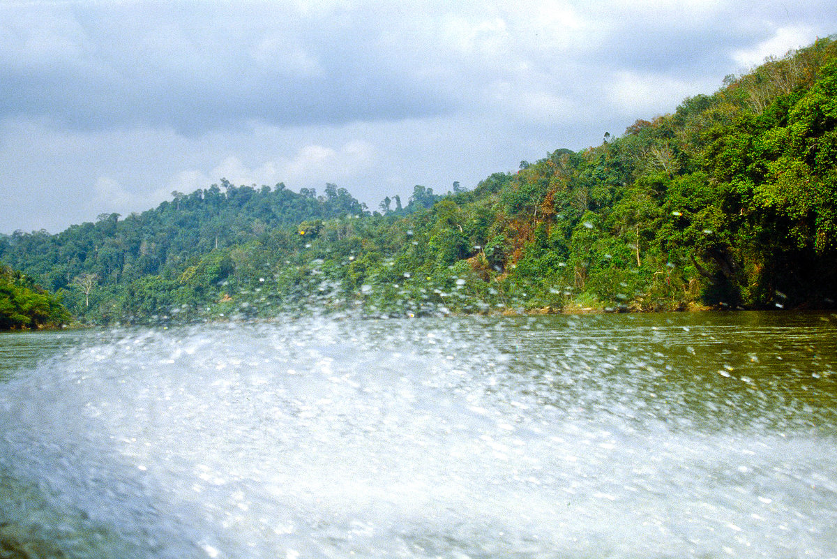 Bootsfahrt auf Sungai Teku im Taman Negara Nationalpark in Malaysia. Bild vom Dia. Aufnahme: März 1989.