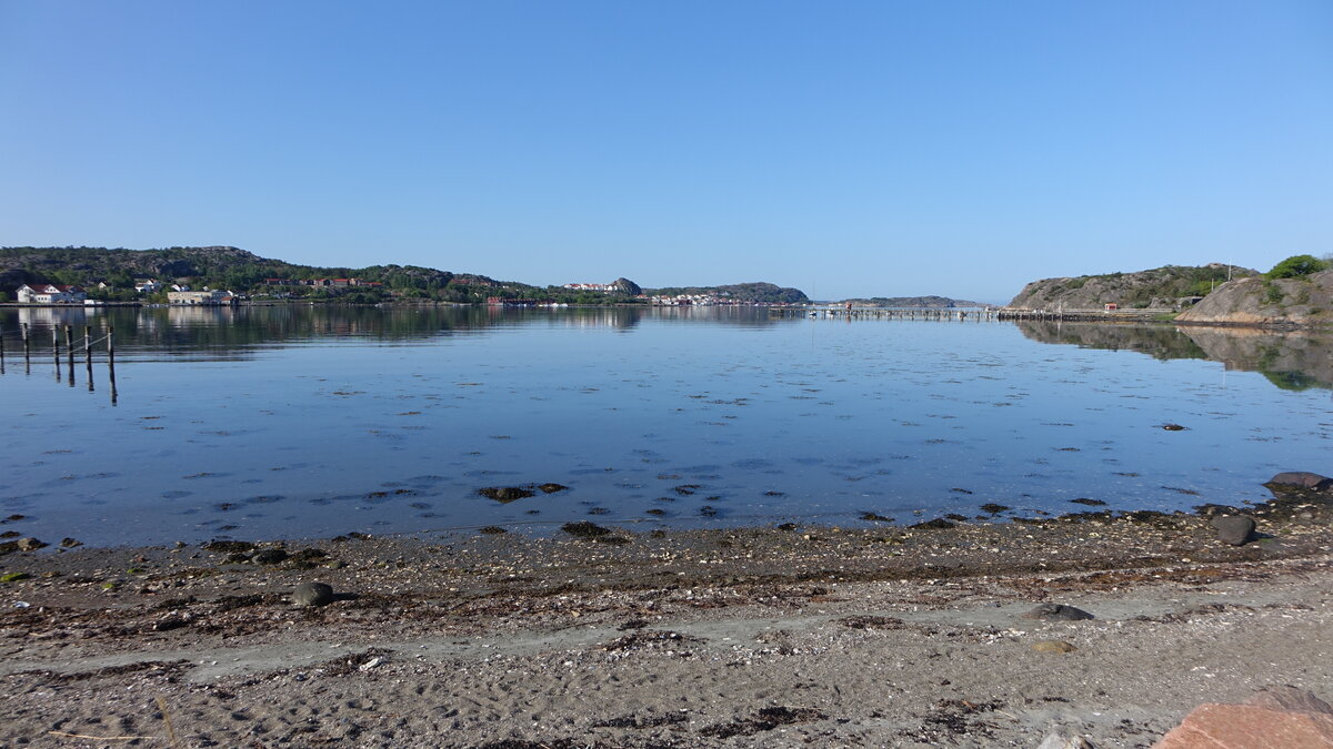 Bottnefjord bei Saltebro, Västra Götalands Län (20.05.2023)