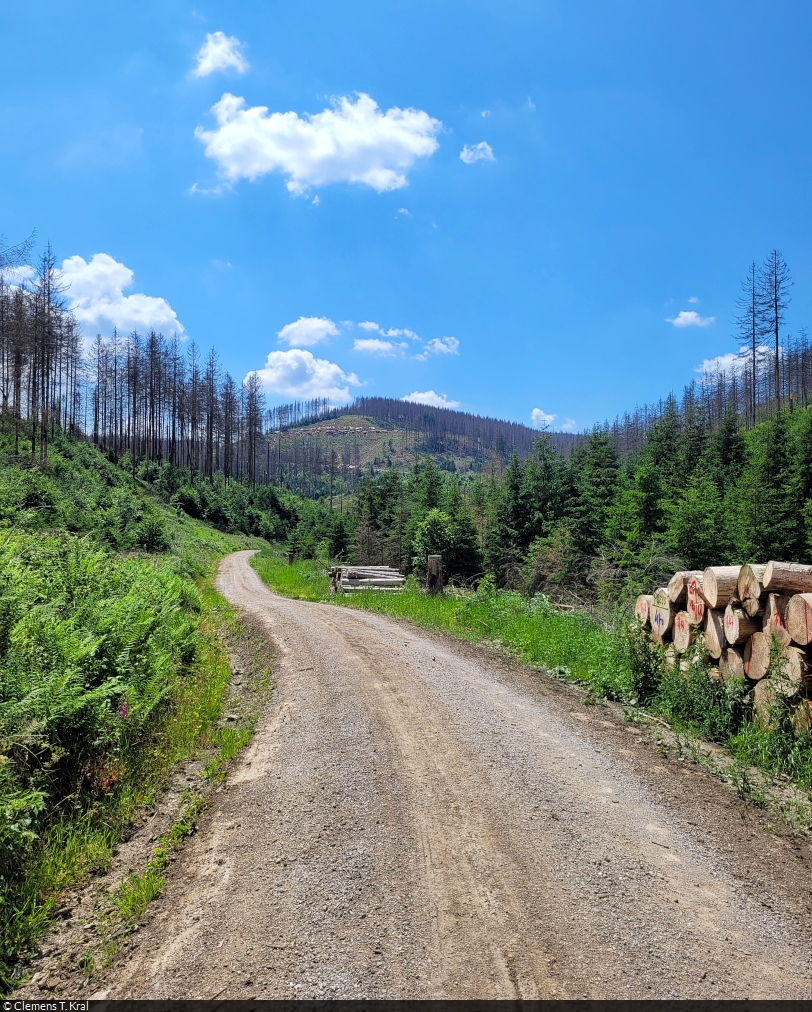 Breiter Wanderweg östlich von Clausthal-Zellerfeld, der auch für forstwirtschaftliche Zwecke genutzt wird.

🕓 25.6.2023 | 13:38 Uhr