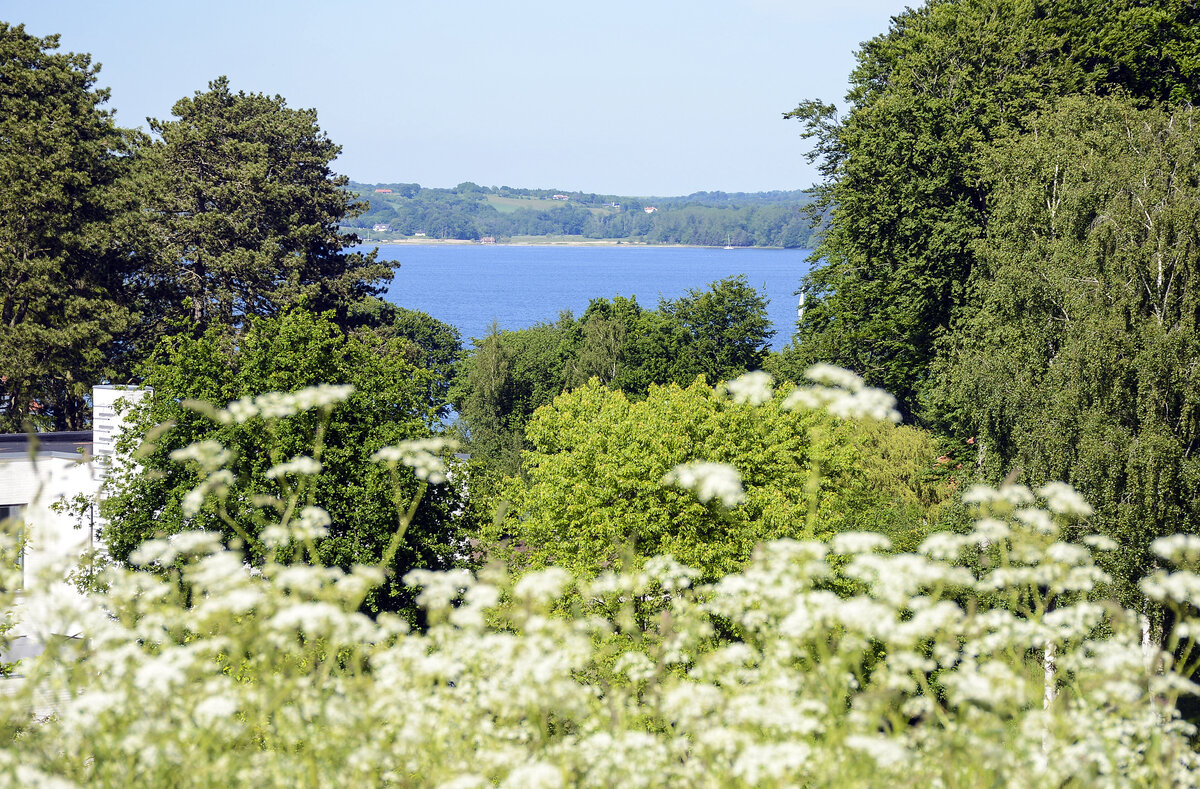 Brejning Strand - Blick vom Dyrehaven (Tiergarten) auf Vejle Fjord. Aufnahme: 5. Juni 2022.