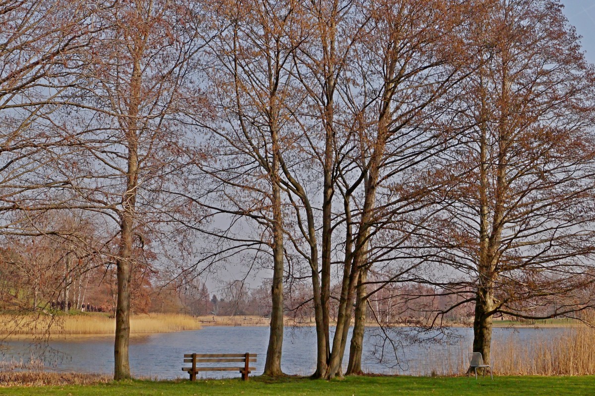 Britzer Garten Berlin:

Der Britzer Garten, am 8. Juli 1989 nach dem Berliner Ortsteil Britz benannt, wurde als Landschaftspark für die Bundesgartenschau 1985 angelegt, um der Bevölkerung im Süden West-Berlins einen neuen Naherholungsort zu bieten. Wikipedia

28.02.2016 fotografiert