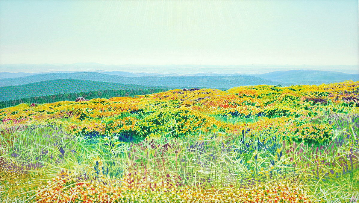  Brockenfrühlingsheidenweite , Öl auf Baumwolle, 2008, 80 x 140 cm; Blick vom Brocken am Nachmittag Anfang Juni Richtung Südwesten bis zum Hohen Meißner (links am Horizont) und den Kasseler Bergen (rechts am Horizont) in Hessen, bis zu ca. 130 km weit...