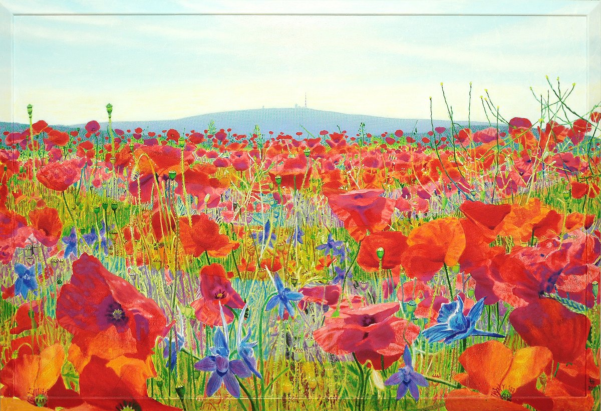  Brockenmohn , Gemälde: Öl auf Baumwolle + Holz (-Rahmen), 2014, 86 x 126 cm; 
Feld im Harzvorland mit Mohn- und Ritterspornblumen und dem Brocken im Hintergrund...