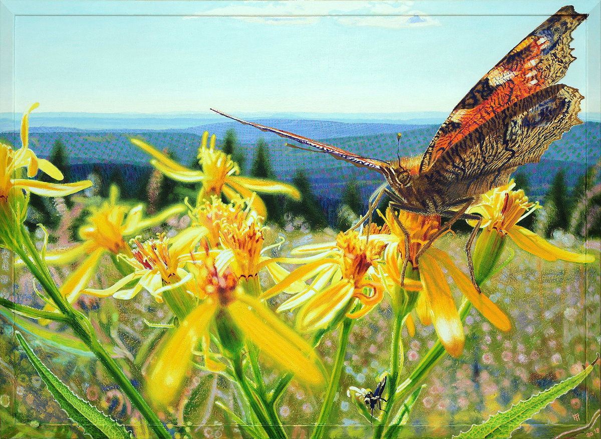  Brockentagpfauenauge (...aber ich brauche die Natur II) , Gemälde: Öl, Ölpastell auf Baumwolle + Holz (-Rahmen), 2018, 92 x 126 cm; Spätnachmittag Mitte Juli auf dem Brocken, ein Tagpfauenauge auf Harzgreiskrautblütchen, im Hintergrund Blick über Südwestharz über 100 km weit bis zu den Kasseler Bergen in der Bildmitte am Horizont... 