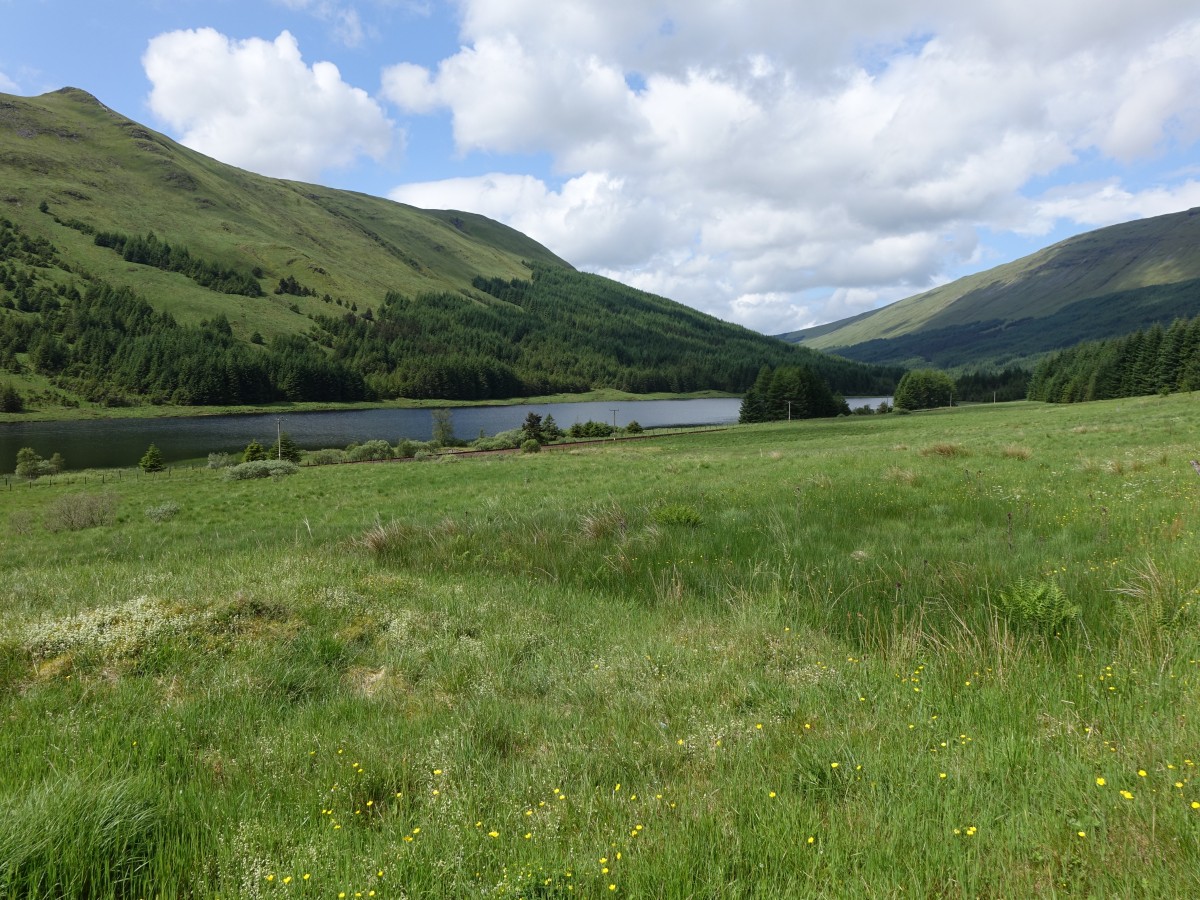 Bruce Hill Mountains, Ben Cruachan 1126 M. am Pass of Brander, Glen Ogle Tal (05.07.2015)