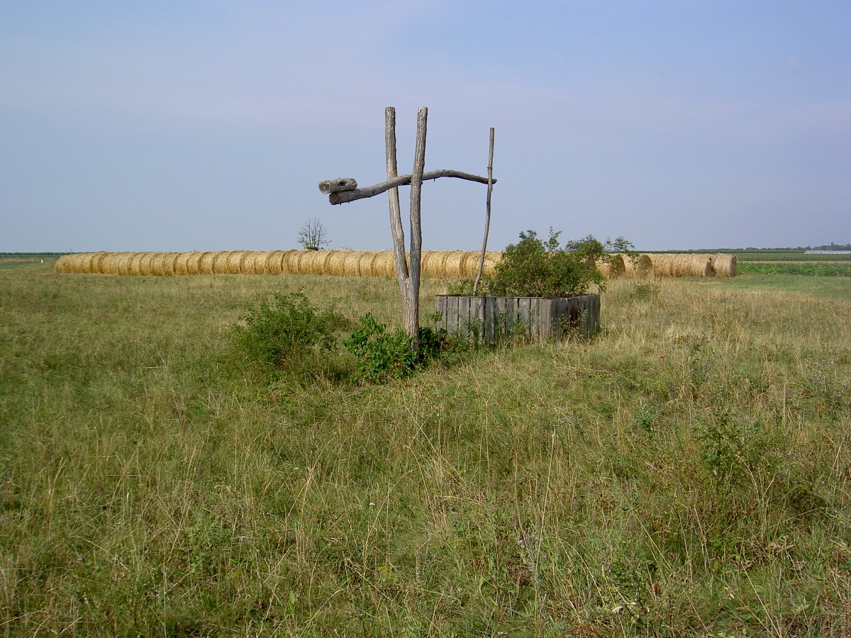 Brunnen im Nationalpark Fertö/Neusiedler See bei Frauenkirchen (27.07.2014)