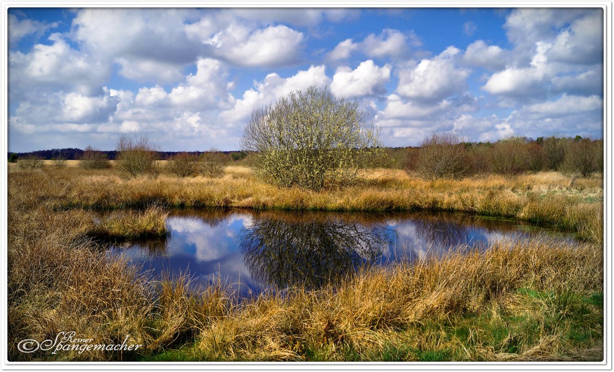 Büschelsmoor bei Lauenbrück, Kreis Rotenburg/Wümme. Heiderandgebiet März 2014.