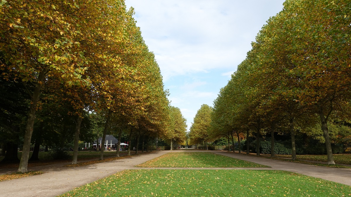 Bunter Herbst in Hamburg, die Platanenallee im herbstlichen Stadtpark am 23.10.2020