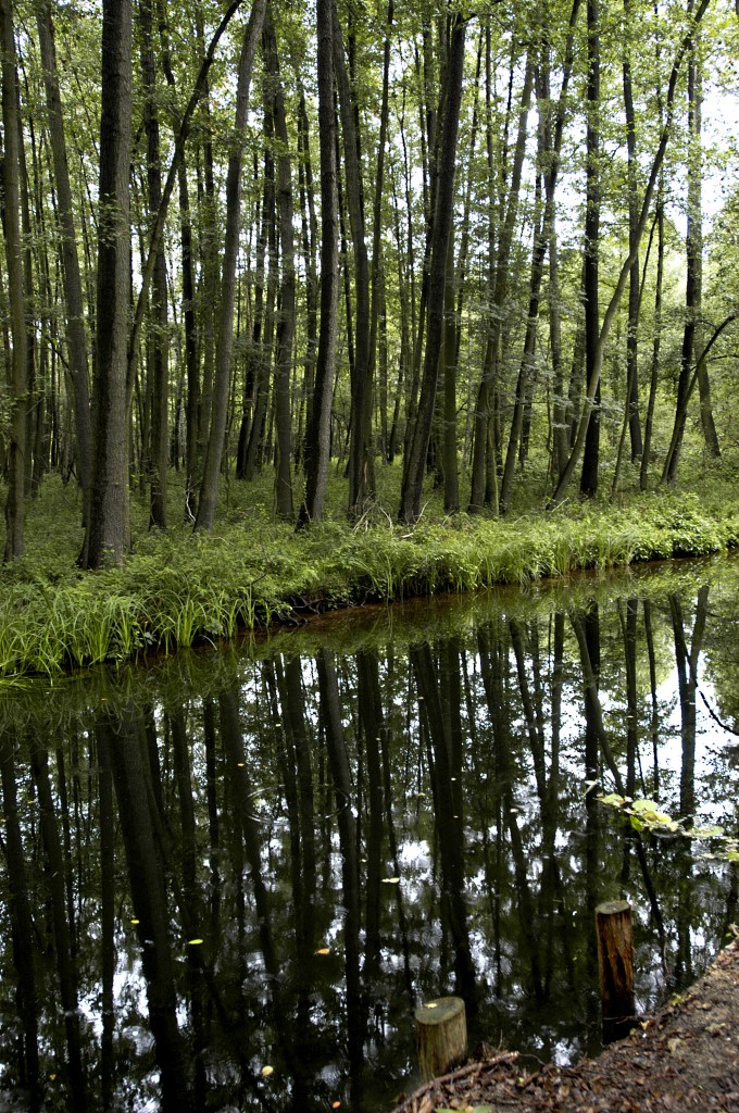 Burg Lübbener Kanal im Spreewald. Aufnahme: Juli 2005.