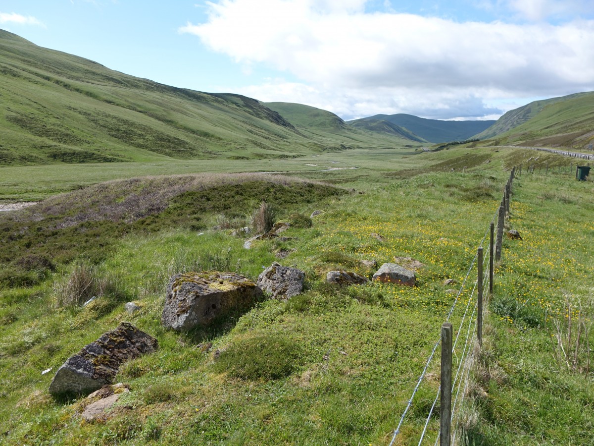 Cairngorms Mountain entlang der A93 (08.07.2015)
