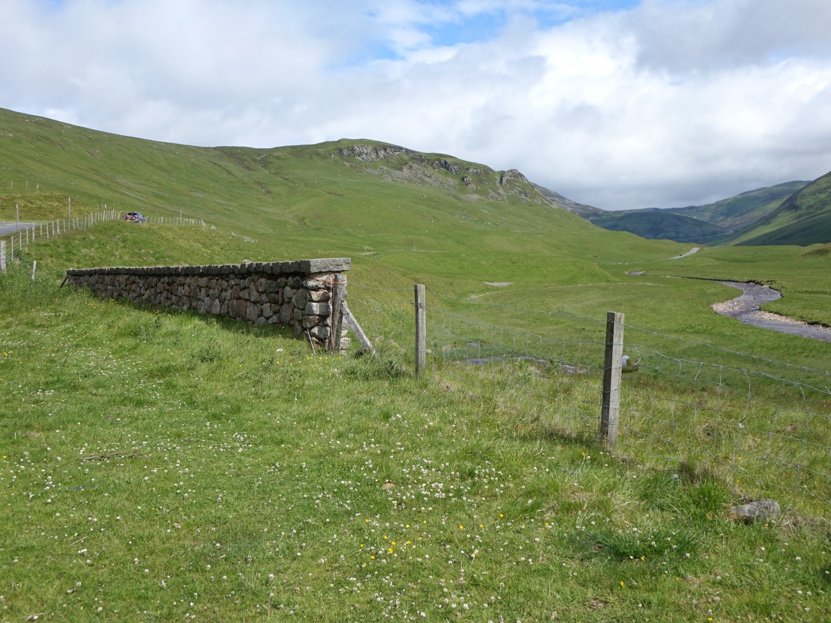 Cairngorms Mountain entlang der A93 Richtung Blair (08.07.2015)