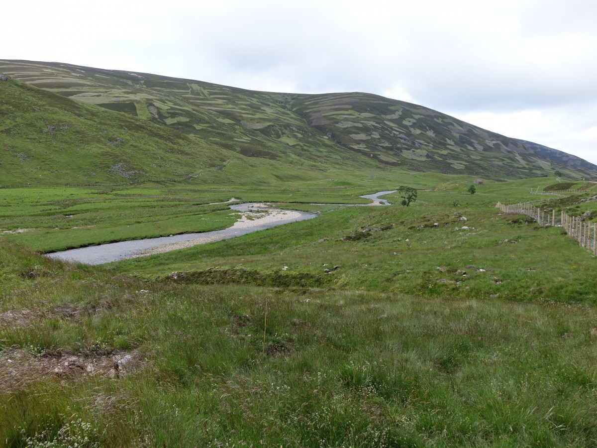 Cairngorms Mountains bei Glenshee (08.07.2015)