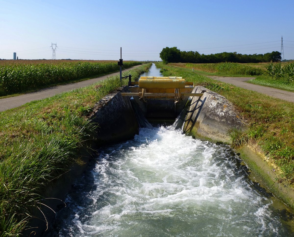 Canal de la Hardt in der Rheinebene im sdlichen Elsa, dient der Bewsserung der riesigen Maisfelder, Aug.2016