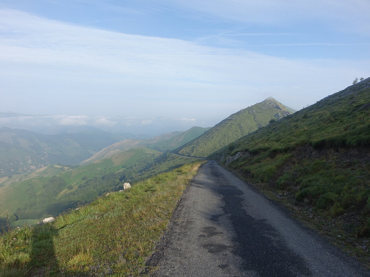 Col de Burdincurutcheta in des westlichen Pyrenäen (27.07.2018)