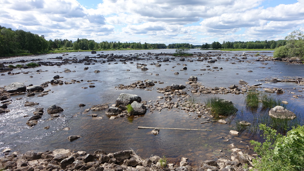 Dalälven Fluss bei Gysinge, Uppsala Län (22.06.2017)