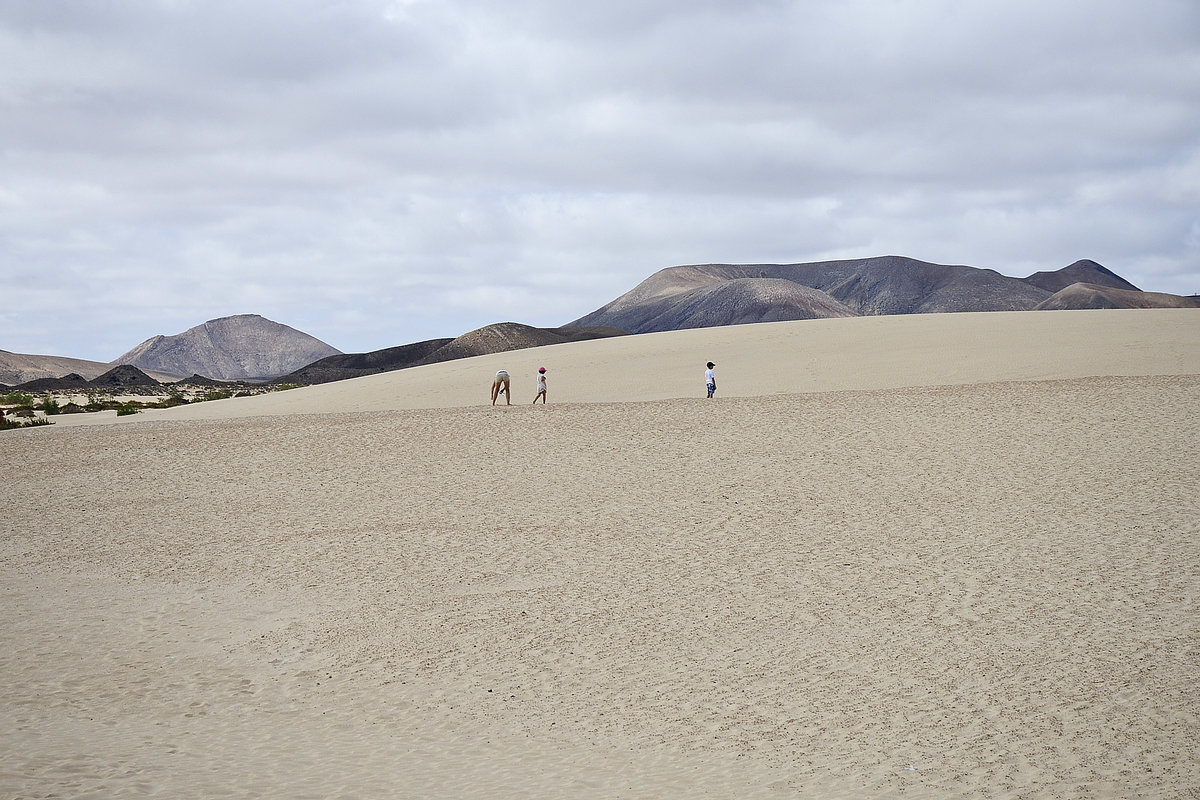 Das 20 Quadratkilometer große Wanderdünengebiet El Jable - Las Dunas de Corralejo auf der spanischen Insel Fuerteventura steht unter Naturschutz und schließt direkt den ca. 7 km langen weißen und feinkörnigen Sandstrand von Corralejo an. Das lebendige Wanderdünengebiet El Jable ist ständig in Bewegung.
Aufnahme: 19. Oktober 2017.