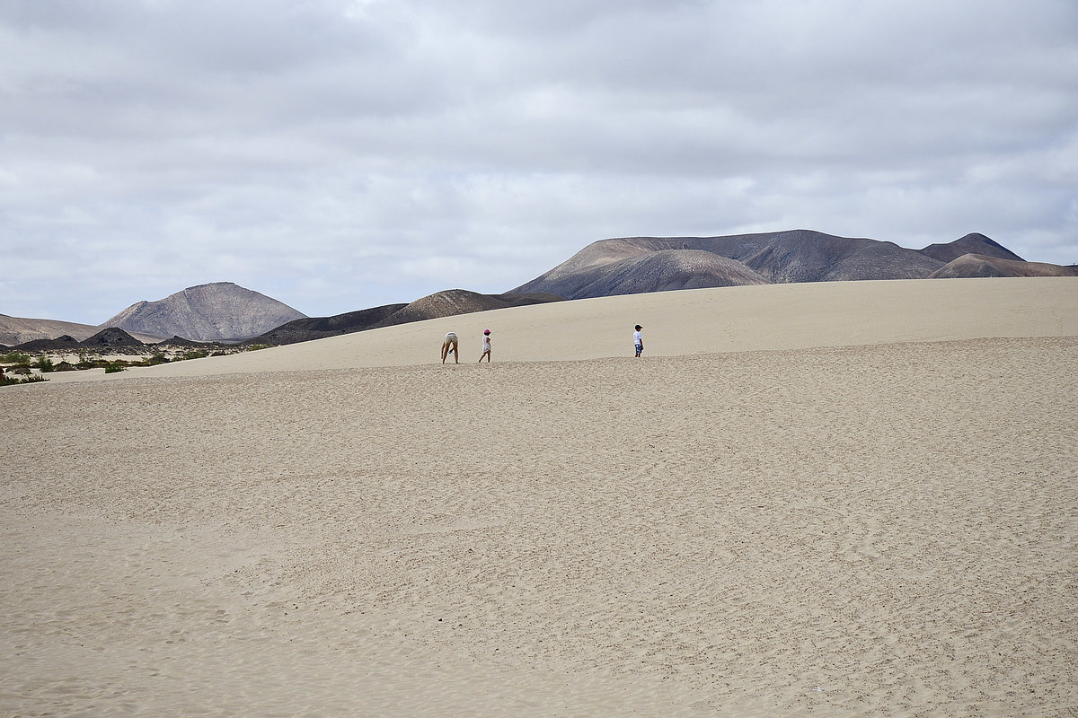 Das 20 Quadratkilometer große Wanderdünengebiet El Jable - Las Dunas de Corralejo auf der spanischen Insel Fuerteventura steht unter Naturschutz und schließt direkt den ca. 7 km langen weißen und feinkörnigen Sandstrand von Corralejo an. Das lebendige Wanderdünengebiet El Jable ist ständig in Bewegung.
Aufnahme: 19. Oktober 2017.