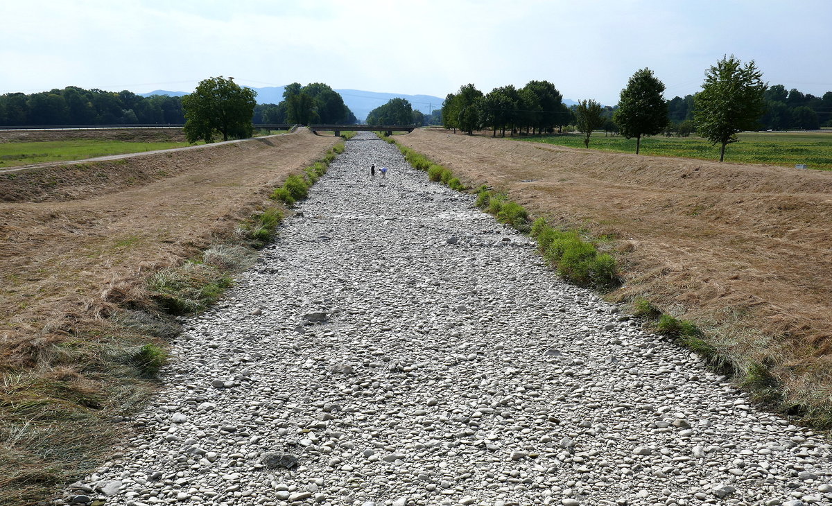 das ausgetrocknete Flußbett der Dreisam, westlich von Freiburg im Aug.2018