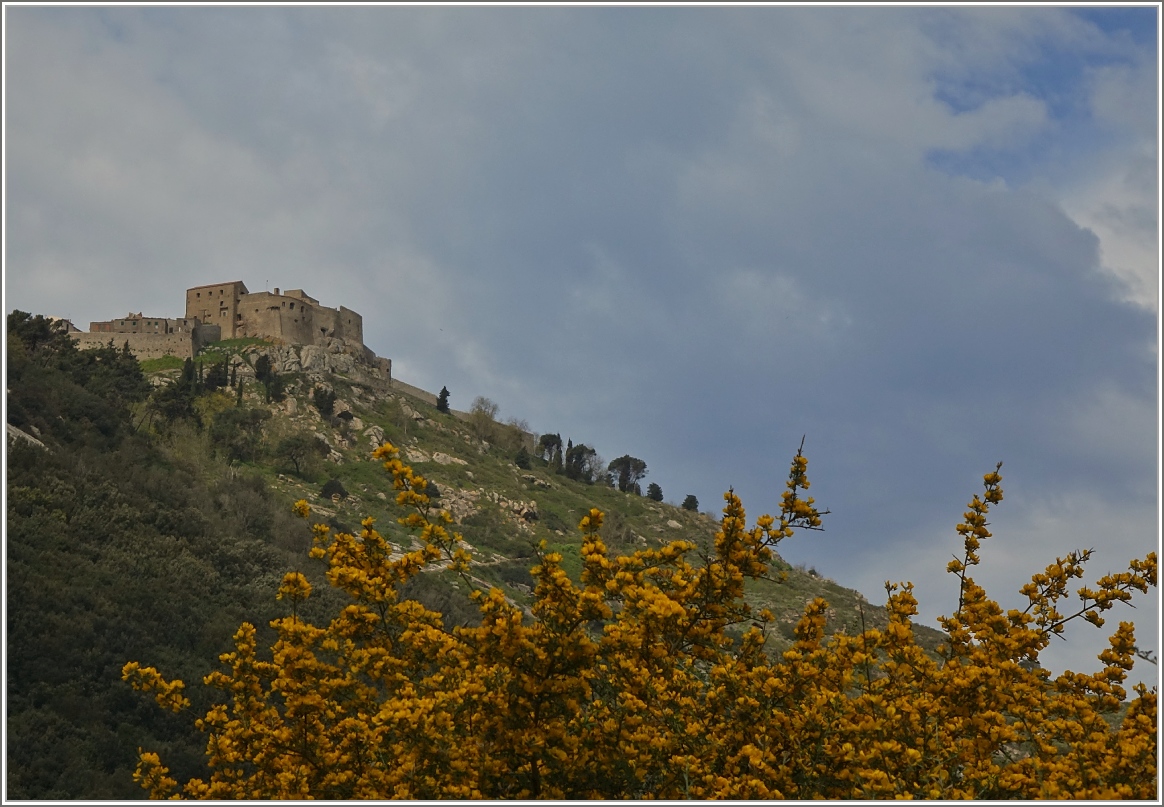 Das Burgdorf Castello auf Giglio
(23.04.2015)