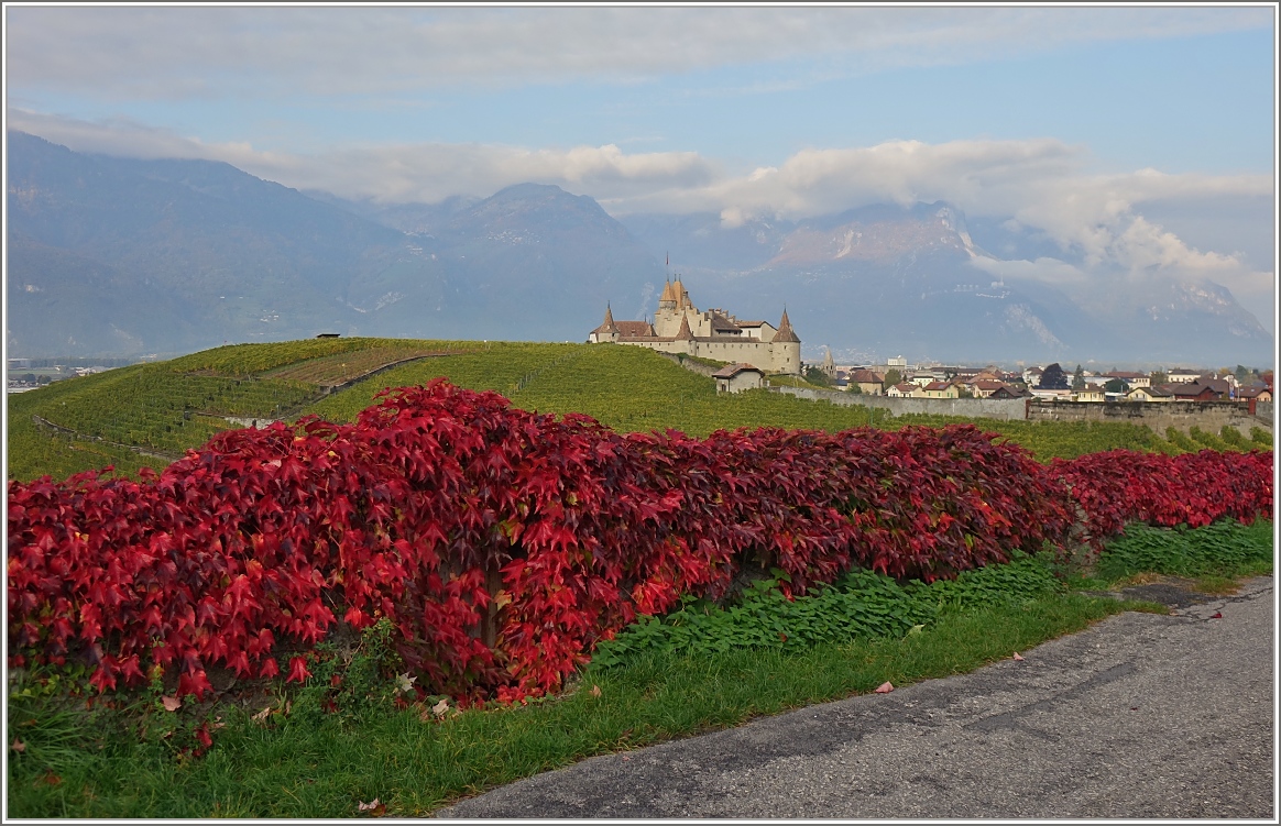 Das Château d'Aigle umgeben von Weinreben.
(14.10.2015)