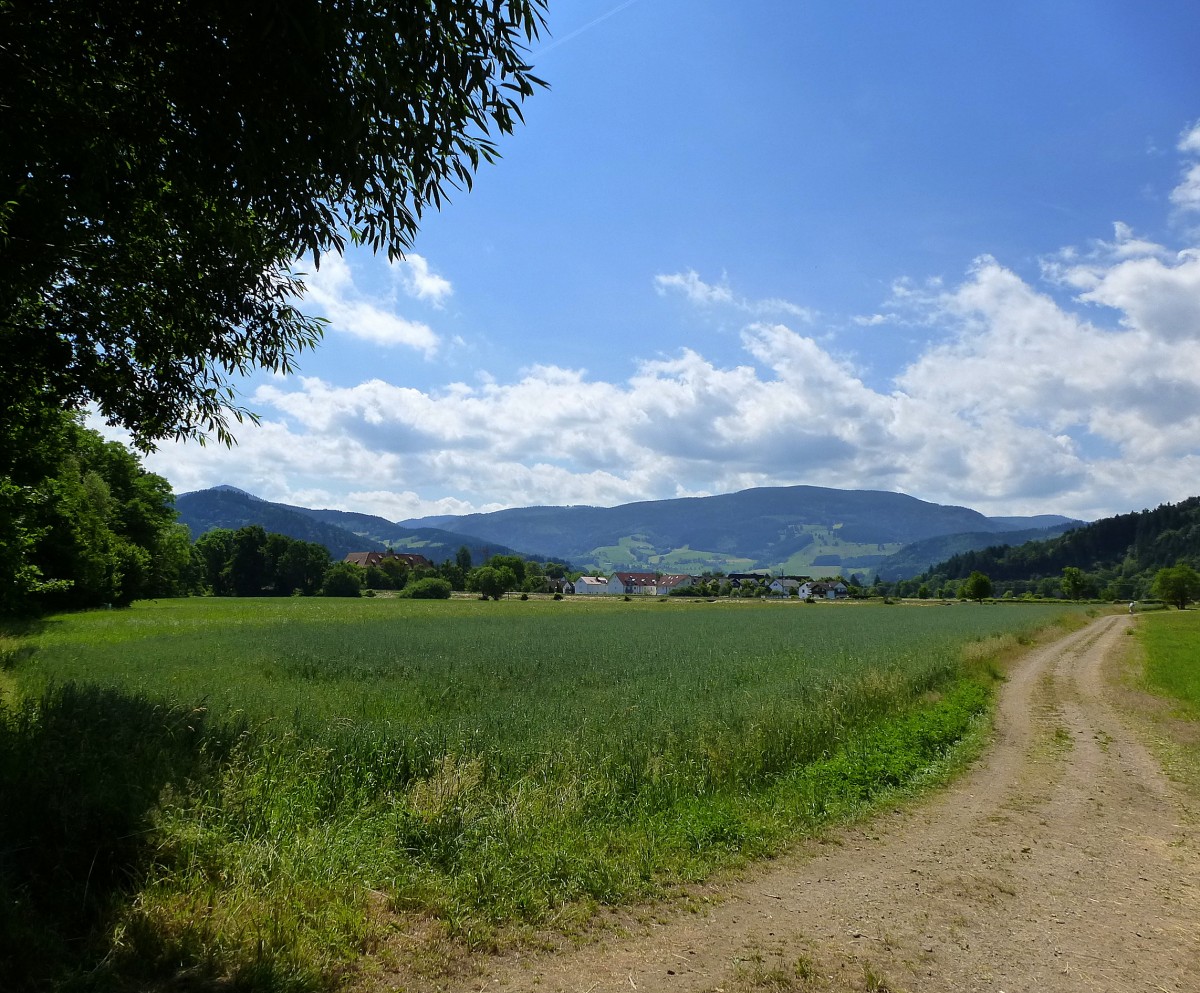 das Dreisamtal im sdlichen Schwarzwald bei Kirchzarten, Juni 2014