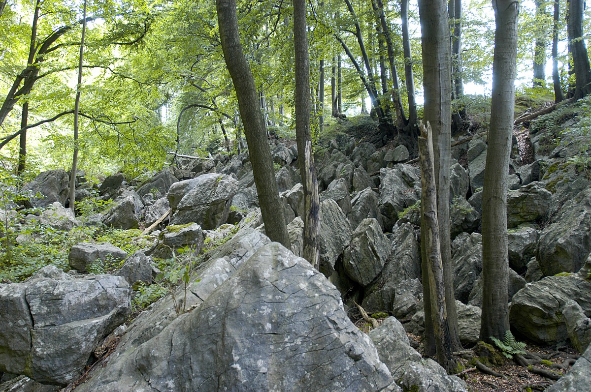 Das Felsenmeer bei Hemer. Die wild zerklüftete Felsenlandschaft gehört zu den 70 bedeutendsten Geotopen Deutschlands. Hier wurde der bislang älteste Tiefbau auf Eisenstein in ganz Nordrhein-Westfalen nachgewiesen. Aufnahme: Juli 2007.