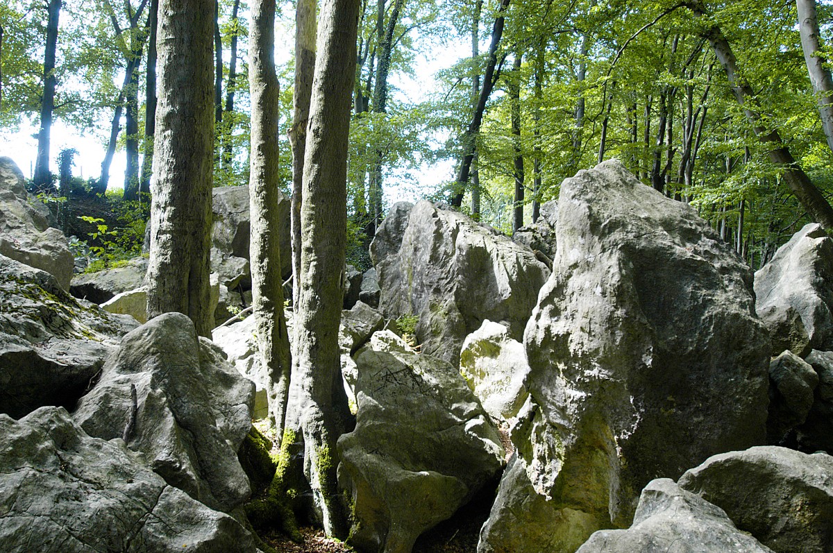 Das Felsenmeer bei Hemer. Die bizarre Felslandschaft des Felsenmeeres liegt zwischen den Hemeraner Stadtteilen Sundwig und Deilinghofen. Aufnahme: Juli 2007.