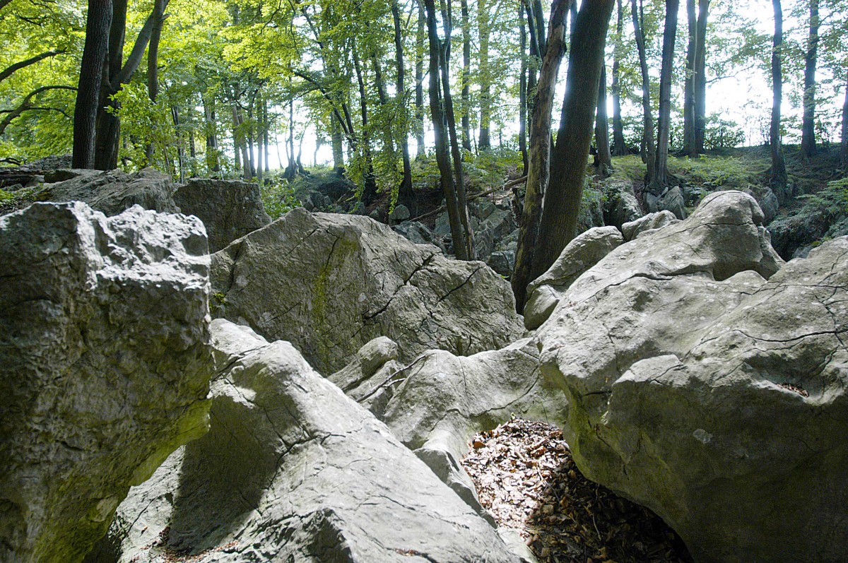 Das Felsenmeer in Hemer, Sauerland. Aufnahme: Juli 2007.