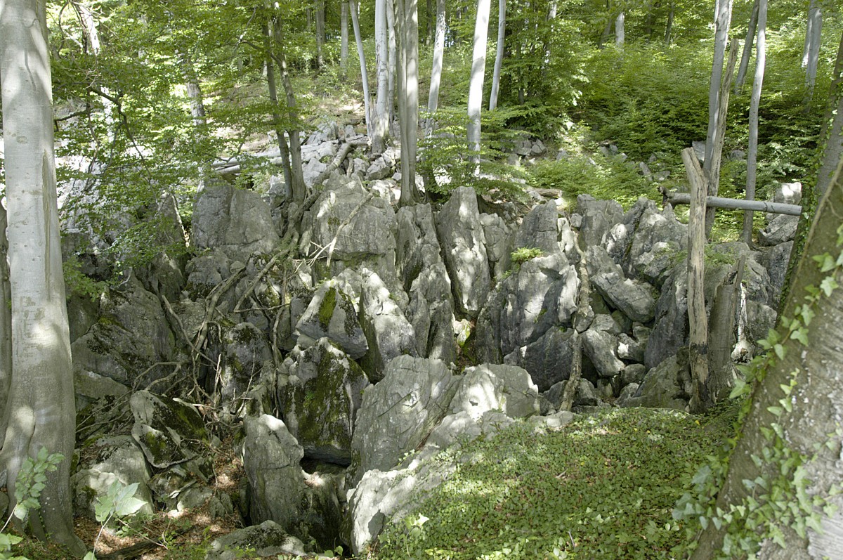 Das Felsenmeer im sauerländischen Hemer ist ein seit 1968 unter Naturschutz stehendes Gebiet, dessen zerklüfteter Untergrund erdgeschichtlich aus dem Tertiär stammt. Das Gebiet des Felsenmeeres ist etwa 600 Meter lang, 200 Meter breit und liegt 45 Meter über der Talsohle. Aufnahme: Juli 2007.