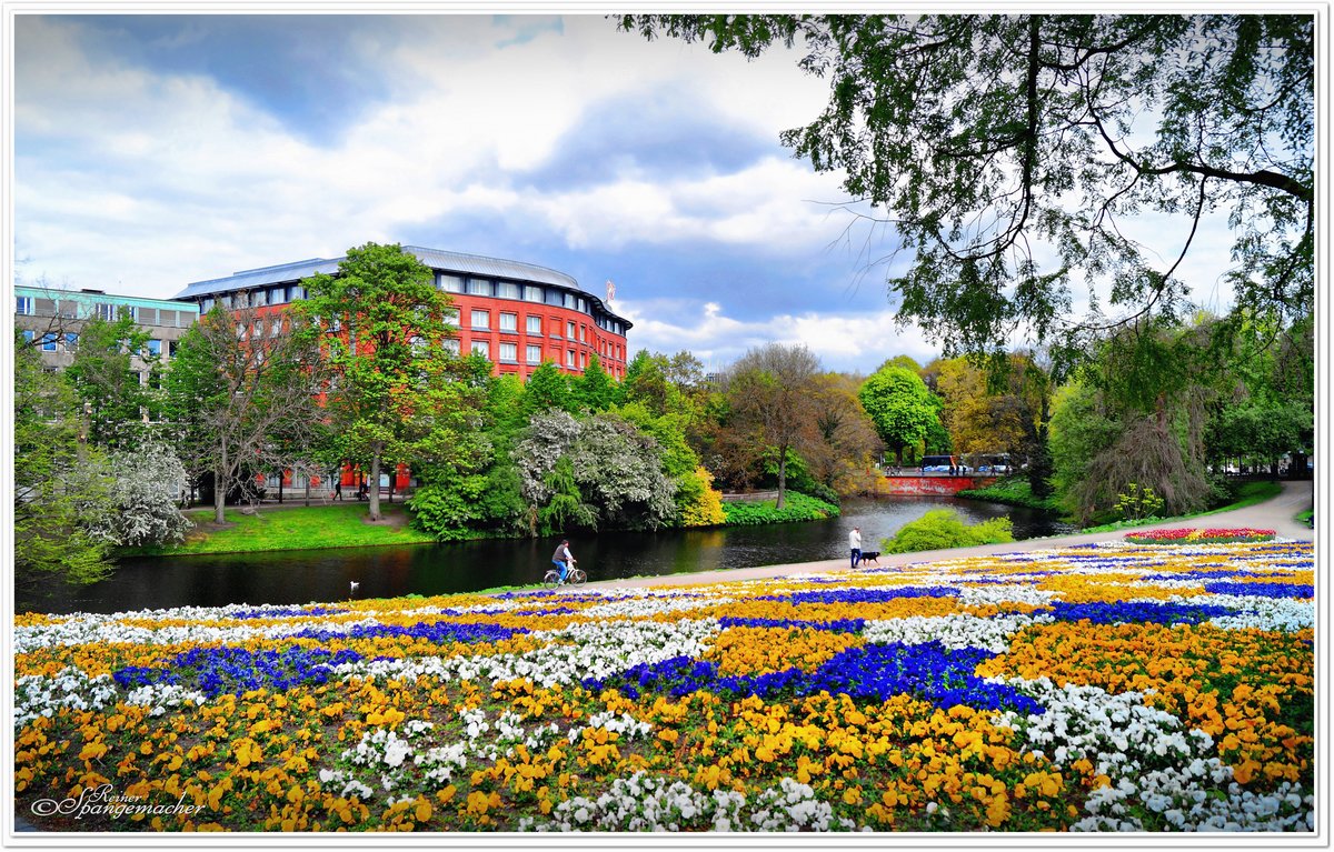 Das Foto entstand am Fuße der  Mühle am Wall  in der Bremer City, der Blick geht über das Blumenmeer und über den Wallgraben, der im Mittelalter der alten Hansestadt Schutz gewährte. Mai 2017. 